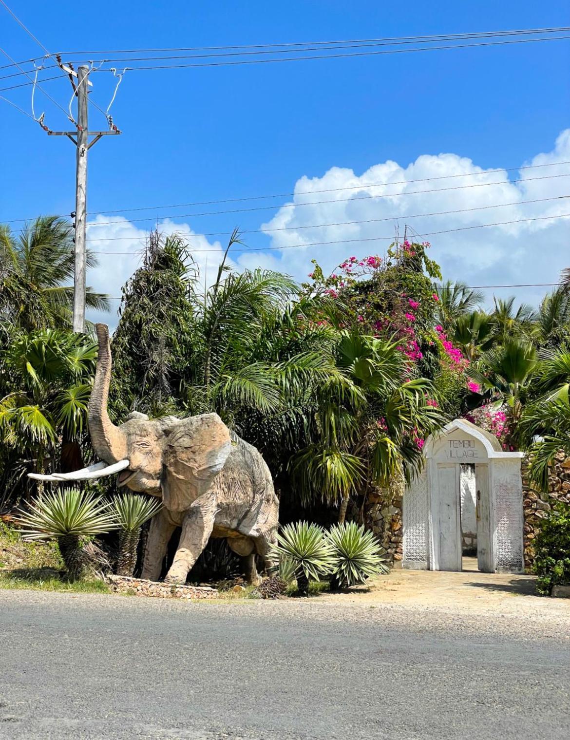Tembo Village ワタム エクステリア 写真